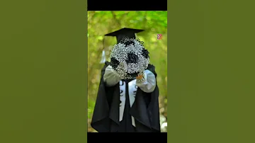 صور تخرج بنات 2023 