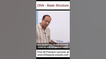 DNA Basic Structure #drnajeeb #drnajeeblectures #shortvideo #youtubeshorts
