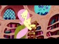 The best of fluttershy