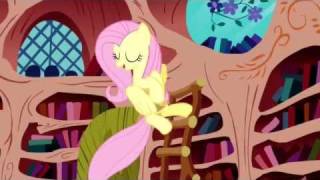 The Best of Fluttershy