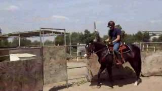 Working Pickle in the Bull-pen