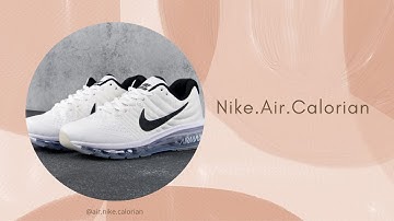 Assignment Principle of Marketing (AFT1053) L2 : Nike Air Calorian