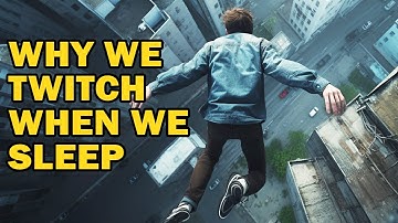 Why Do We Twitch Before Falling Asleep?