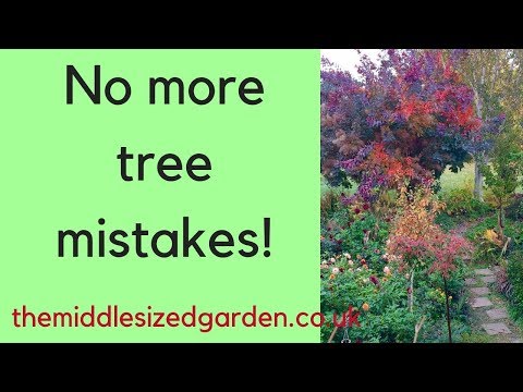 Video: Välja Mayhaw-träd – Olika typer av Mayhaw att odla i trädgården