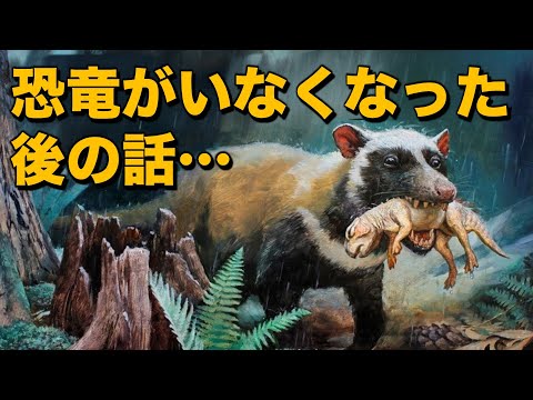 両生類の進化 (Natural History) 両生類の進化 (Natural History) 両生類の進化 (Natural History