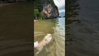 На необитаемом острове ?? thailand travel jamesbondisland