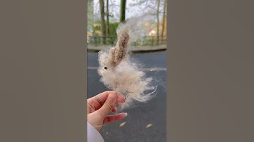 Bình Dương đi Vũng Tàu dễ ẹc. Tập 5 Checkin cây bông gòn #shorts