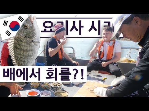 한국 배낚시를 처음 해보고 바로 회를 먹어본 영국요리사는 과연?! 영국 요리사 한국 음식 투어 2탄 12편!!
