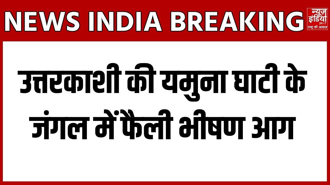 Uttarakhand Forest Fire: उत्तरकाशी की Yumuna Ghati के जंगल में फैली भीषण आग, वन्य जीवों को खतरा!