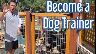 Multi dog 'waits' and how to become a top tier dog trainer
