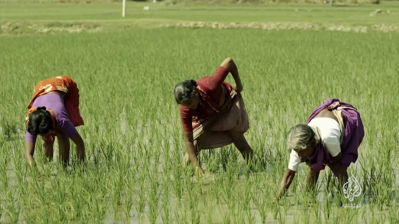 documentaire على حساب الريف (برومو) 4 نوفمبر 19 مكة المكرمة