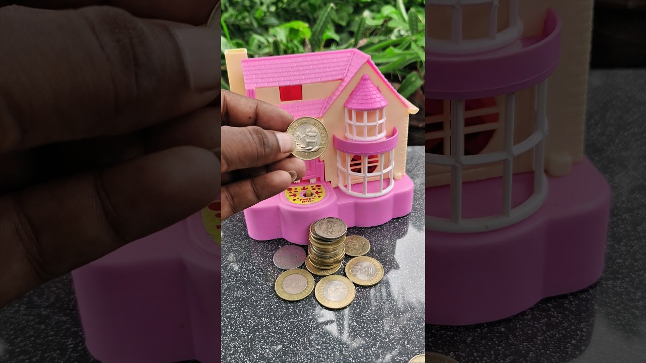 (ST-1141) "10 Wala Biscuit ka Chakar: Dog House Banane ka Asal Kharch Kya Hai? 🐶💰" 