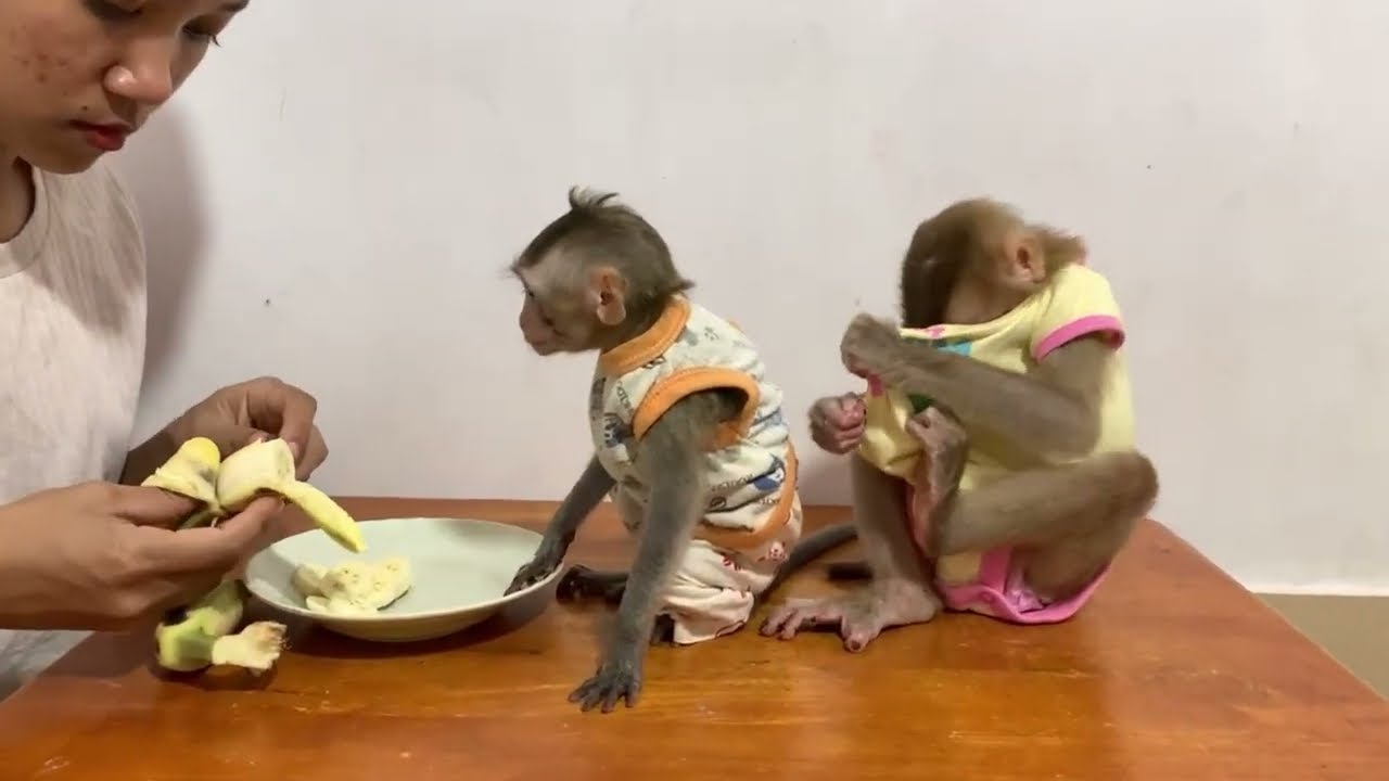 OH no..!! Busy Jasmine tri to checking her priv-te 