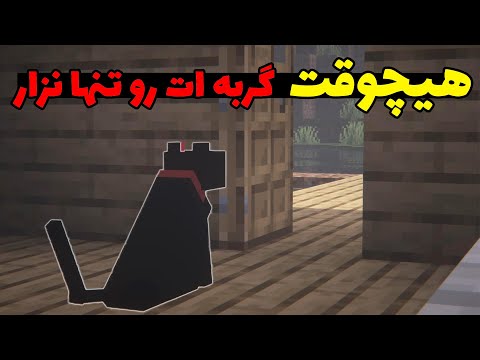هیچوقت برای مدت طولانی گربه ات رو تنها نزار وگرنه