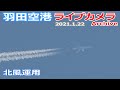 羽田空港 ライブカメラ 2021/1/22 Planespotting Live from TOKYO HANEDA Airport  離着陸 Landing Takeoff ライブ配信