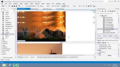 ASP.NET 4.5 Expert Skills Lesson 7-6: Use the View and MultiView controls