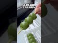 분명 당고인데🍡 왜 익숙하지?