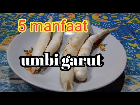 5 manfaat umbi