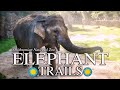 Zoo Tours Ep. 76: The Elephant Trails | Smithsonian's National Zoo (2010)