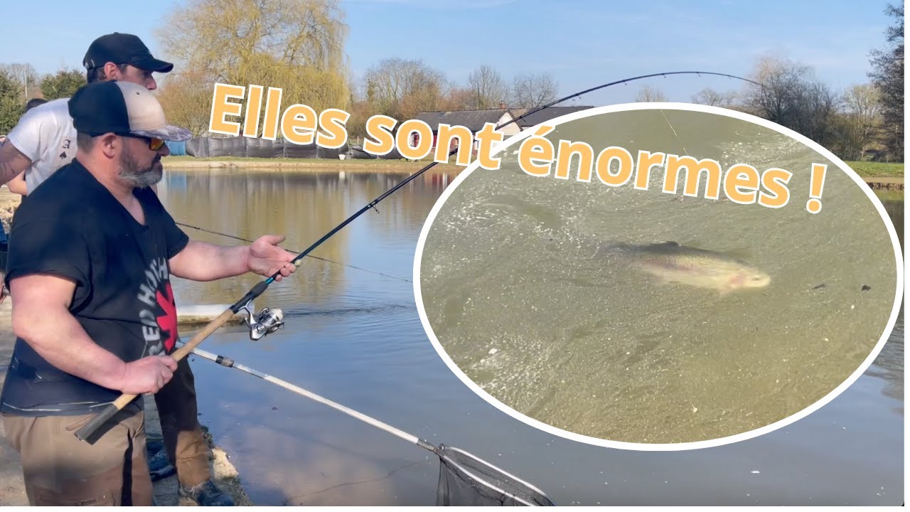 Lâcher de SUPER GROSSES TRUITES !