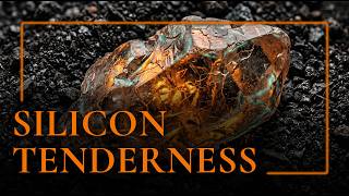 Silicon Tenderness — Electronic Ambient · for the comfort that has no name