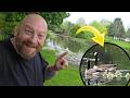 THE GEESE-LINGS ARE HERE! daily vlog 114