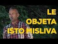 Sos kvintet  le objeta isto misliva pas na vas 2016