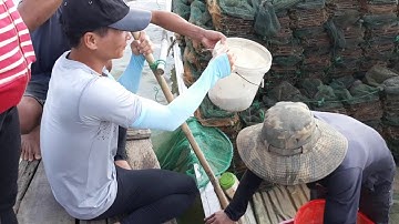 DÃ NGOẠI VÀ CÂU CÁ TRÊN ĐẢO HOANG | HỒ TRỊ AN