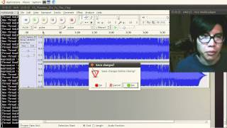 Celebrity 018_06 Audacity Live Coding Programming c++ bugfix devvlog Net Worth
