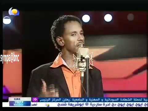 عماد حسن حلم الأماسي