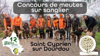 Concours de meutes sur sanglier AFACCC 2024 Aveyron