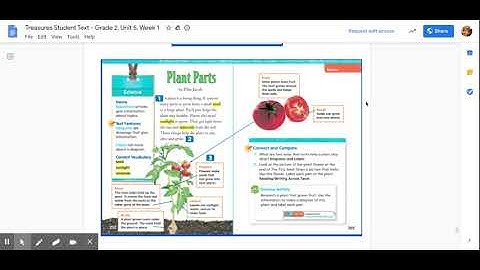 Treasures Student Text - Grade 2. Unit 5. Week 1 - Google Docs