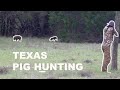 Pig Hunting With a .25 caliber airgun {Catch Clean Cook}