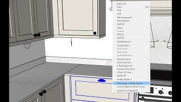 Sketchup Extension - Hide Tags on Other Scenes