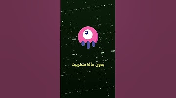 موقع SPA تفاعلي كامل بدون ولا سطر JavaScript 😱 باستخدام Laravel Livewire فقط!