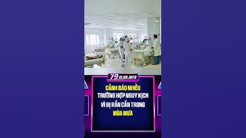 Cảnh báo nhiều trường hợp nguy kịch vì bị rắn cắn trong mùa mưa