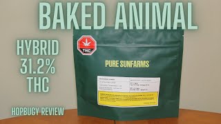 Baked Animal Pure Sunfarms 31.2% THC Hybrid Pot Review