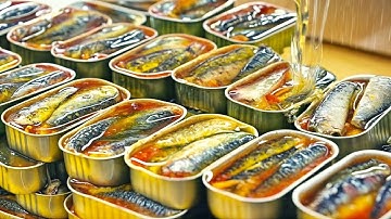 How Millions of Canned Sardines Are Made in Factory