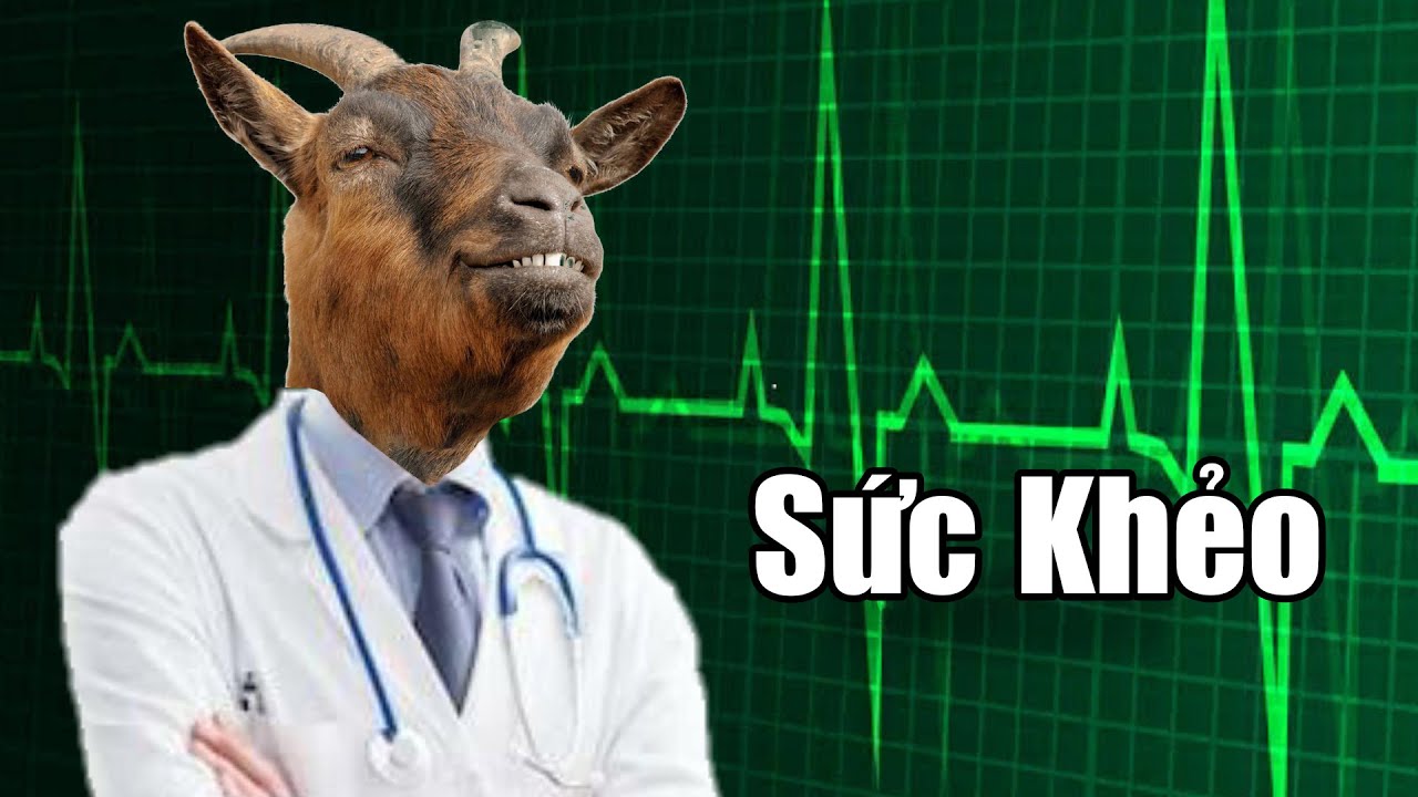 Cấy Bi Dê - Cách Chữa Bệnh Kinh Dị Nhất | BỔ NÃO ĐẶC BIỆT