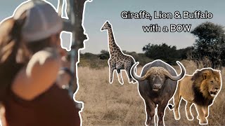 *Brielle Takes on Africa | Cape Buffalo, Lion & Giraffe Bowhunt Adventure*