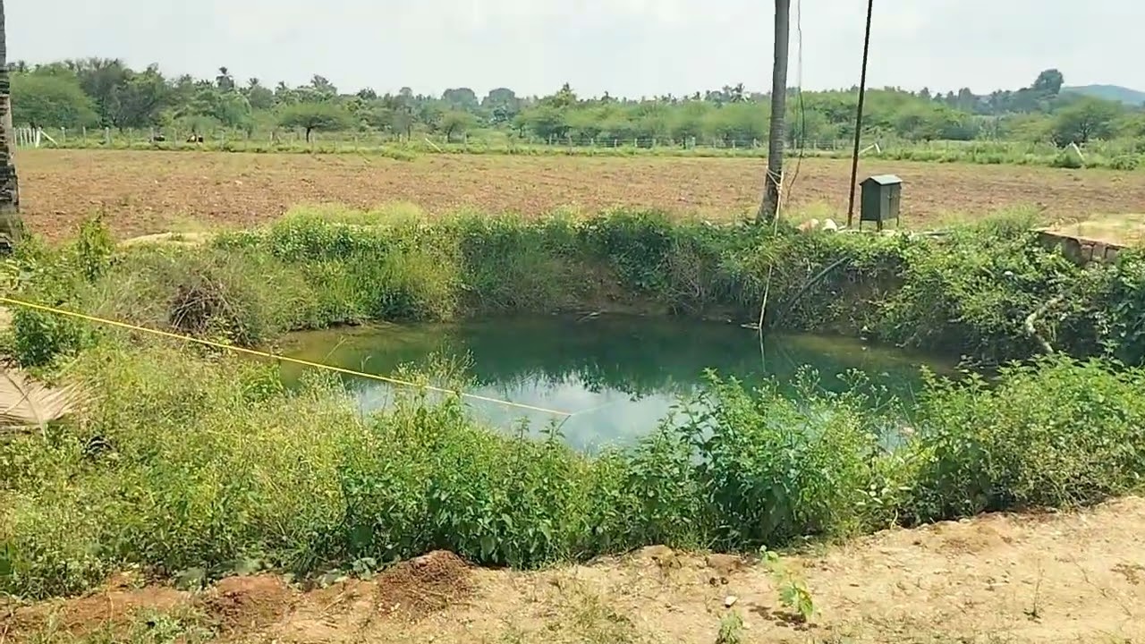 63  gunt agriculture farm land for sale. ph 8971607967.