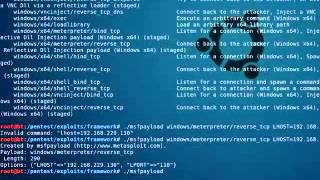 hacking a Remote computer with backtrack