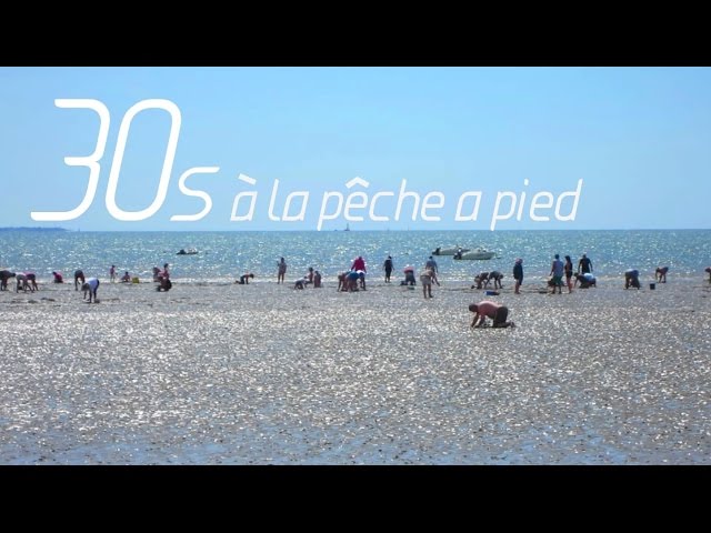 Vidéo sur la réalisation d'un chariot de surfcasting, peche à pied,  palourdes, petoncles, moules, coques, praires, crevettes,crabes,  bigorneaux, bar, maigre, daurade royale, merlan, anguille