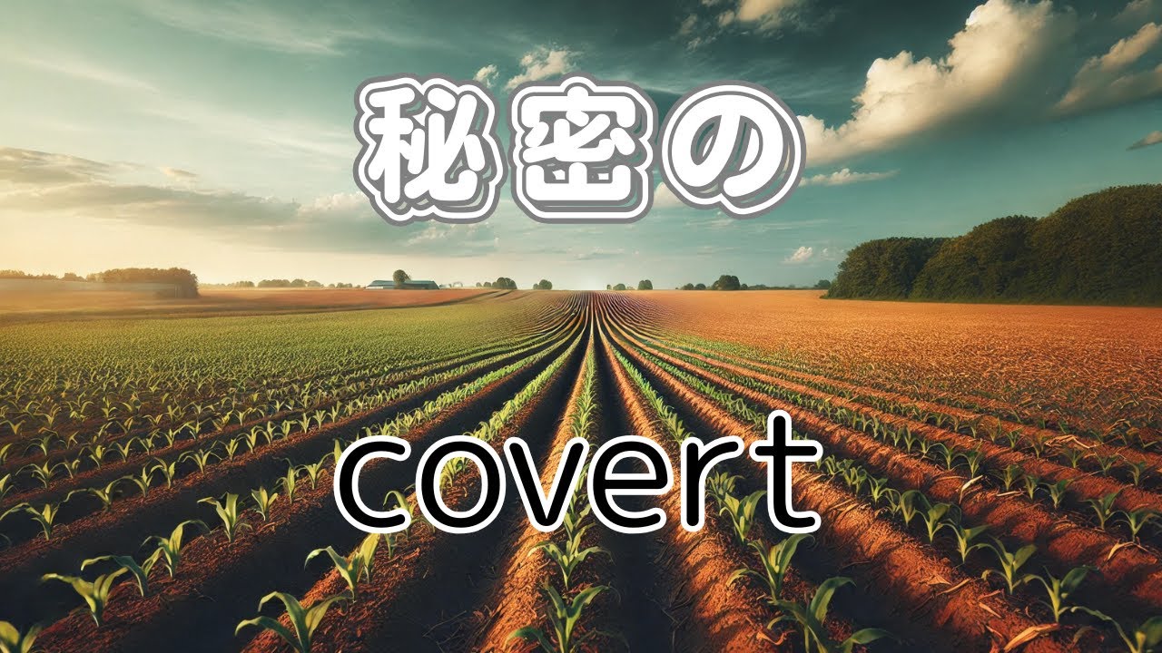 covert　秘密の