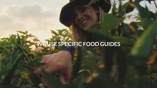 Healing Arts of Veda | Ayurvedic Experts in New Mexico