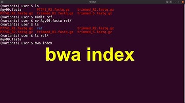 Bwa tutorial - build index for reference genome