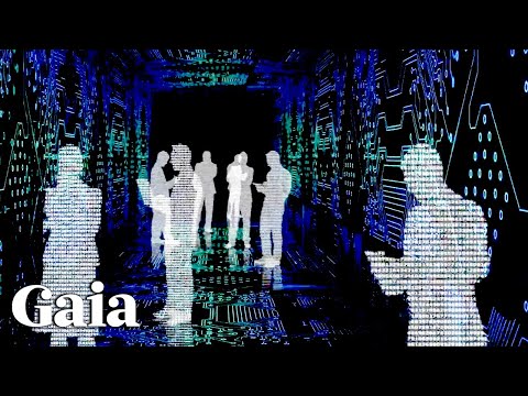 Are We INSIDE