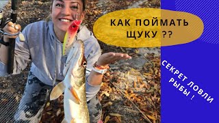 Рыбалка 2020/Как поймать щуку?/Ловим щуку/Секрет ловли рыбы/Наш выходной/Рыбалка осенью