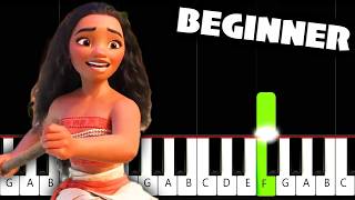 How Far I'll Go (Moana) - BEGINNER Piano Tutorial