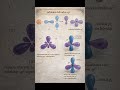 Hibridación sp² y geometría trigonal plana #cienciasobredosruedas #bioquimica #biologia #science